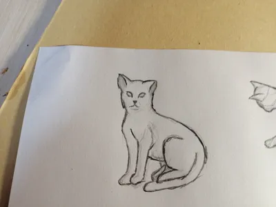 How to draw a cat. Как нарисовать котика. | Character, Smurfs, Fictional  characters