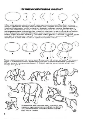 Как поэтапно нарисовать экзотических животных. Часть 2 |  -  Дети и Родители | Дзен