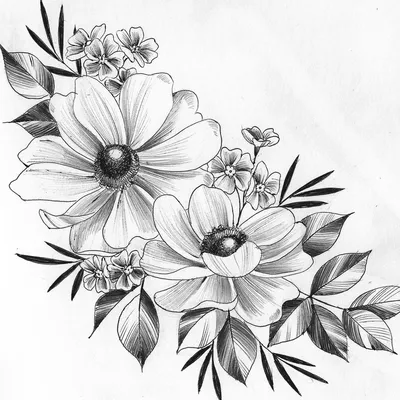 Красивый цветок рисунок (23 фото) » Рисунки для срисовки и не только