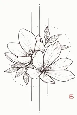 Рисунок карандашом цветы легко карандашом (45 фото) » Рисунки для срисовки  и не только