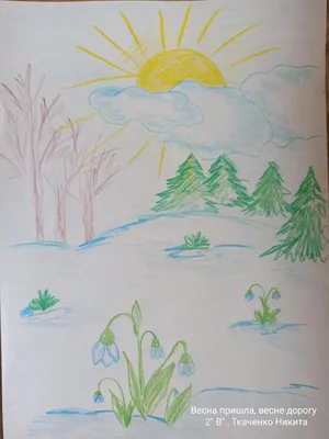 Мастер-класс по рисованию цветными карандашами «Берёза весной» с детьми  старшего дошкольного возраста (17 фото). Воспитателям детских садов,  школьным учителям и педагогам - Маам.ру