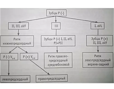 Ритм как композиционное начало — Публикации — Сетевое издание «Звуки Красок»