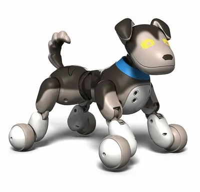 Робот собака CHIP WowWee - 0805 - WowWee 0805 | роботы с доставкой от  интернет-магазина 