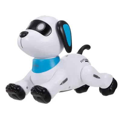 Робот собака на радиоуправлении Le Neng Toys K21 в интернет-магазине Хобби  Парк