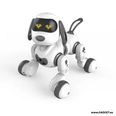 Робот собака IQ BOT 01176944: купить за 3980 руб в интернет магазине с  бесплатной доставкой