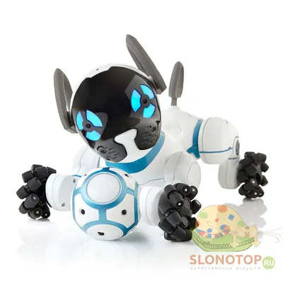 Робот собака Koddy IQ BOT, на пульте управления, интерактивный: звук, свет,  танцующий, музыкальный, на аккумуляторе (4376315) - Купить по цене от 2   руб. | Интернет магазин 