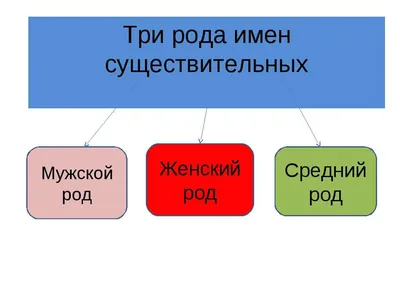 Род существительных online worksheet | Live Worksheets