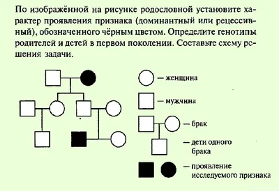 Основные функции семьи — что это такое? Какие они бывают?