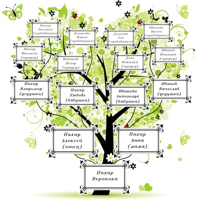 Делаем генеалогическое дерево своей семьи своими руками. Готовые шаблоны. | Генеалогическое  древо, Семейное дерево проекты, Семейное дерево шаблоны