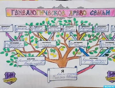 Как нарисовать генеалогическое дерево семьи карандашом своими руками? Как  составить родос… | Генеалогическое древо, Семейное дерево проекты, Семейное  дерево шаблоны