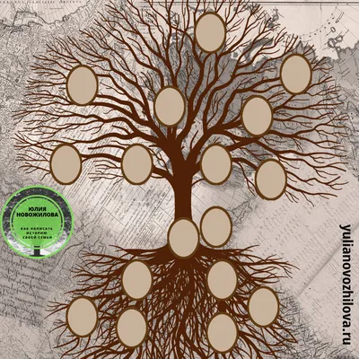Как составить генеалогическое древо семьи: шаблоны и инструкции