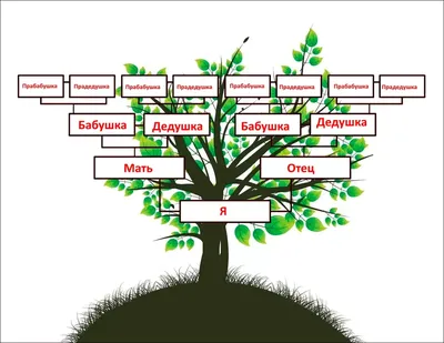 Как составить генеалогическое древо семьи и рода | Шаблон