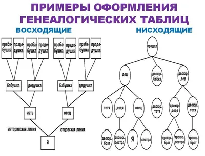 Администрация Сосновского округа Нижегородской области - Проект «Генеалогическое  древо моей семьи»