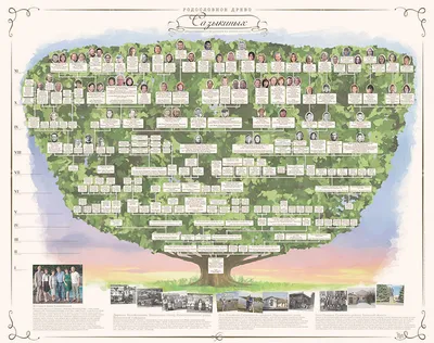 Главные ветки моего родового дерева - 