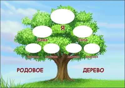 Родовое дерево картинки