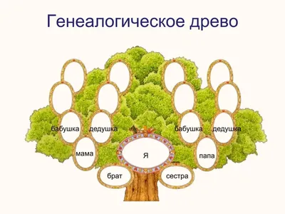 Семинар – практикум « Родовое дерево». Дата: ,  -  обучение в Черкасcах | 