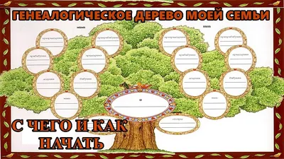 Как сделать генеалогическое древо: инструкции и шаблоны