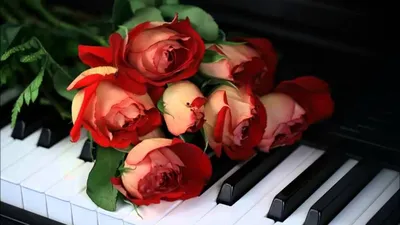 Цветы на рояле (71 фото) »
