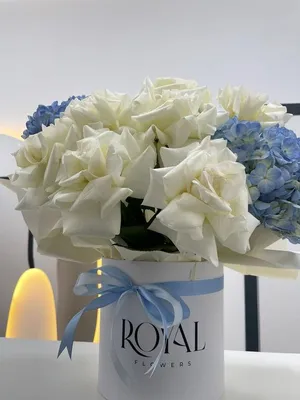 Royal Bloom, Цветы и подарки в Санкт-Петербурге, купить по цене 72000 RUB,  Цветы в корзине в АВГУСТ с доставкой | Flowwow