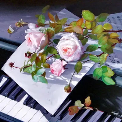 Пионовидные розы Роуж Рояль с ромашками | доставка по Москве и области