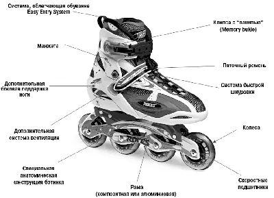 Как выбрать ролики? ― Интернет-магазин  ― товары для спорта,  туризма и отдыха.