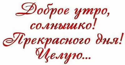 Картинка любовное утро (40 фото) » Юмор, позитив и много смешных картинок