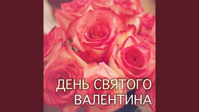 Воздушные шары на День святого Валентина, воздушный шар с красным сердцем,  шелковые лепестки роз, романтические украшения для особых случаев, свадьбы,  годовщины | AliExpress