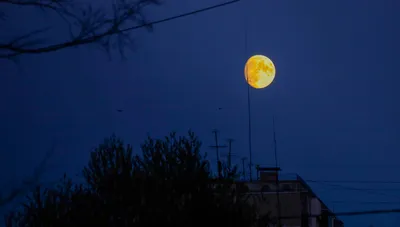 Влюблённые приведения в звёздной …» — создано в Шедевруме