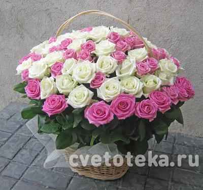 Романтические цветы (63 фото) »