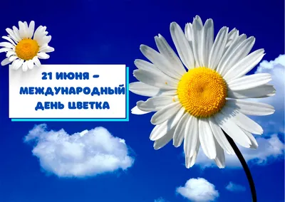 Экологический час «Цветы — улыбка природы» - А знаете ли вы что… - ЦБС для  детей г. Севастополя