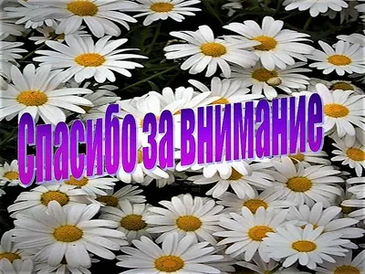 Конспект ОД по конструированию из бумаги с элементами аппликации в  подготовительной группе «Ромашки для любимой мамы» (8 фото). Воспитателям  детских садов, школьным учителям и педагогам - Маам.ру