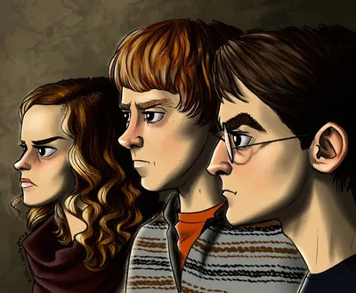 Portrait of Ron Weasley, Harry Potter and Hermione Granger — Harry Potter  Fan Zone