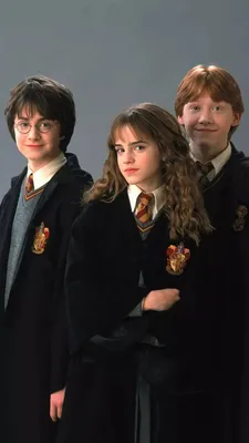 Why Hermione Chose Ron in Harry Potter — Işık Barış Fidaner – Žižekian  Analysis