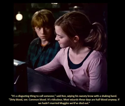 Actual reason why Ron married Hermione : r/harrypotter