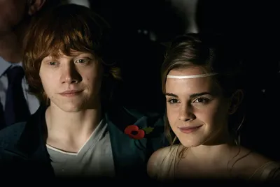 Download Best friends Hermione Granger and Ron Weasley Wallpaper |  
