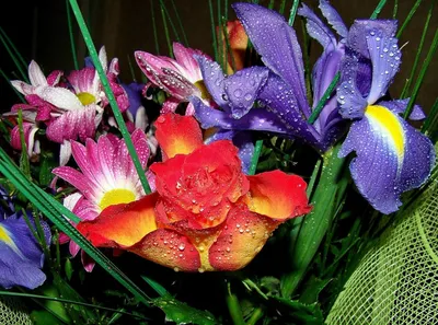 Цветы в кашпо Утренняя роса - купить по цене 2870 ₽ с доставкой, Москва