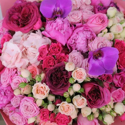 Роскошные цветы и букеты из бумаги. Кокберн С. (5527782) - Купить по цене  от  руб. | Интернет магазин 