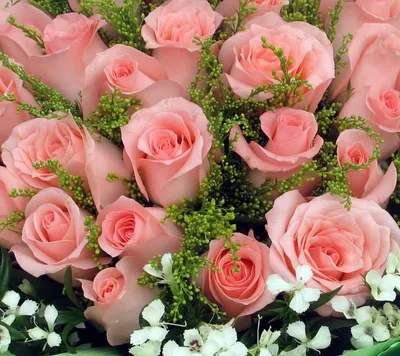 Пазл роскошные яркие цветы - разгадать онлайн из раздела "Фоны" бесплатно