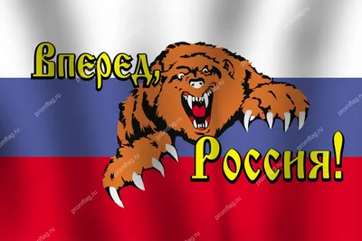 Магнит с медведем "Россия вперед!" 9х7,5см купить в 55опторг (АВ40793) по  цене  руб.