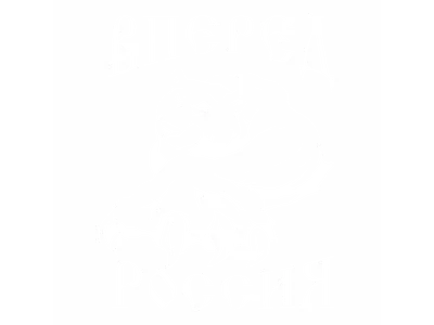 Флаг «Вперёд Россия»