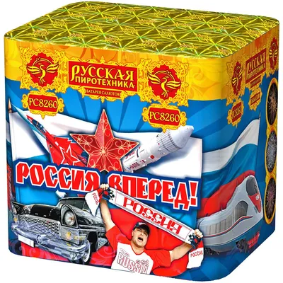 Флаг Вперед Россия с медведем 90х145 — купить в Москве и СПб по цене 670  руб. в оружейном магазине AIR-GUN