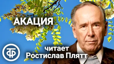 Смотреть диафильм Ростислав Плятт