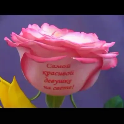 9 белых роз с надписью я люблю тебя, Цветы и подарки в Ростове-на-Дону,  купить по цене 2999 RUB, Монобукеты в Цветы «Милана» с доставкой | Flowwow