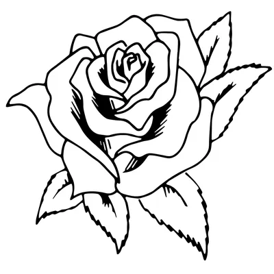 Rose Flowers | Coloring book for children: 24 coloring pages