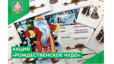 Книга: "Рождественское чудо мистера Туми" - Сьюзан Войцеховски. Купить  книгу, читать рецензии | The Christmas Miracle of Jonathan Toomey | ISBN  978-5-907302-04-4 | Лабиринт