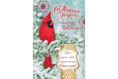 Поздравления и красивые открытки С Рождеством Христовым 2023 (30 фото) »  Триникси