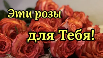 🌹Эти Розы Для Тебя!🌹Прекрасные Пожелания От Души! Сергей Чекалин!  Красивая Музыкальная Открытка! - YouTube