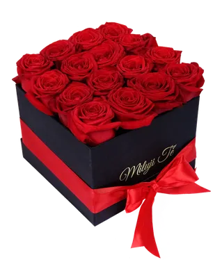 Бумага глянцевая 100 х70 см Розы для тебя (2862089) - купить по оптовым  ценам