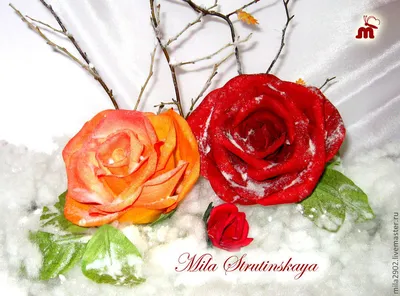 Красная Роза В Снегу Трава Символ - Бесплатное фото на Pixabay - Pixabay