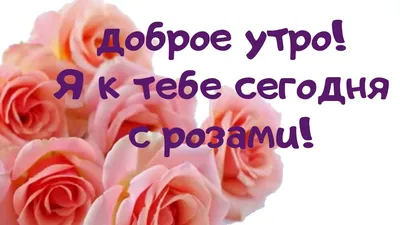 Доброе Утро любимым! 🌹 | Красивые розы, Праздничные открытки, Доброе утро